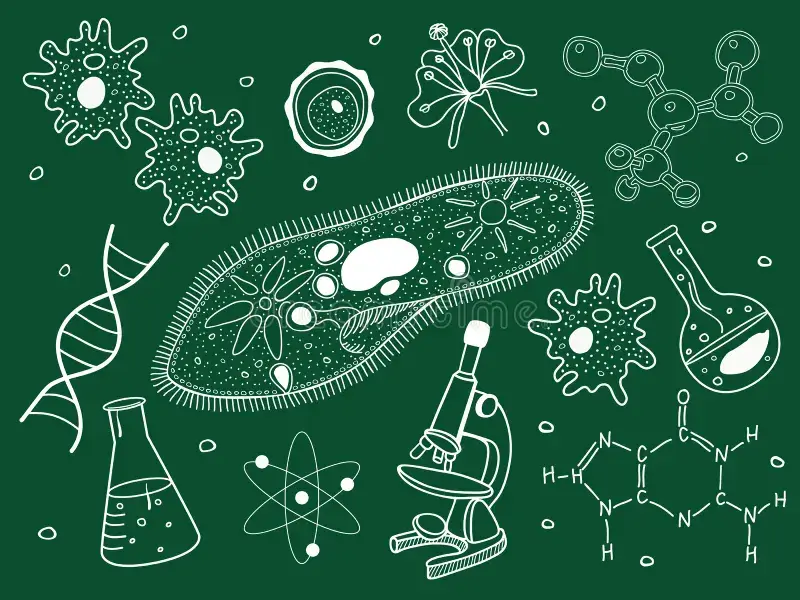 An educational diagram depicting key biological concepts, including cells, ecosystems, and the interdependence of life forms.