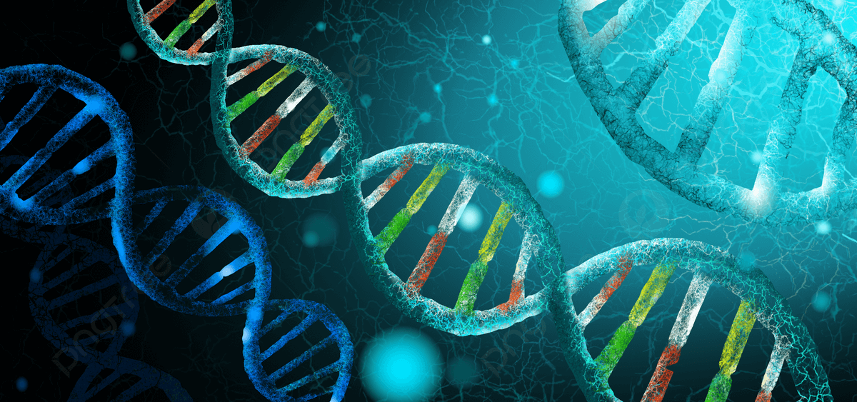 Illustration of a DNA molecule featuring two intertwined strands, representing the fundamental structure of genetic material in biology.