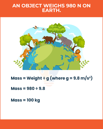Illustration of Earth with animals, showing the calculation of mass from weight: 980 N equals 100 kg, using the formula Mass = Weight ÷ g.