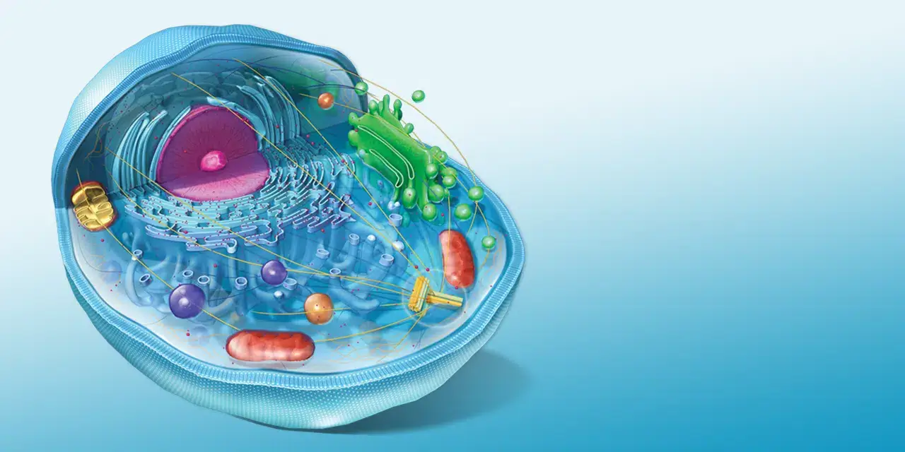 An educational diagram depicting diverse biological species, highlighting their anatomy and interactions within their environment.