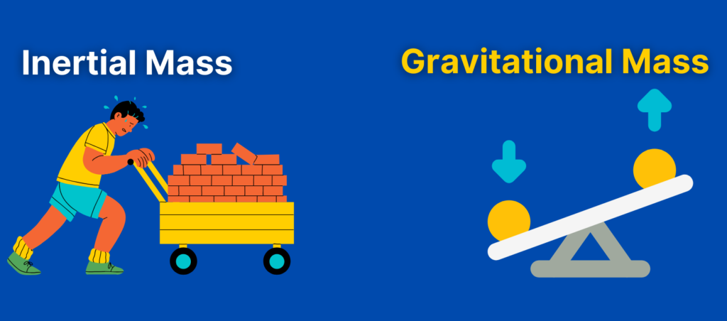 Difference Between Inertial Mass and Gravitational Mass