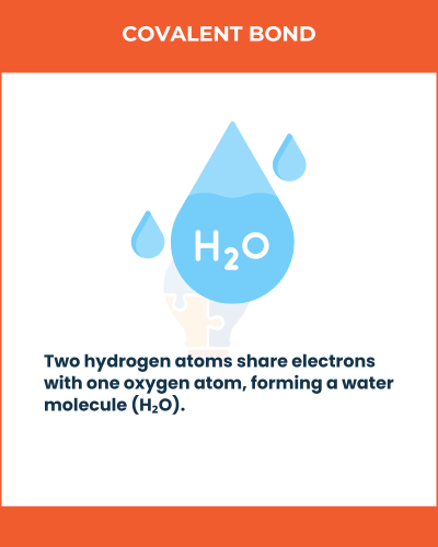 Illustration of a water molecule (H2O) showing two hydrogen atoms sharing electrons with one oxygen atom, labeled "Covalent Bond".