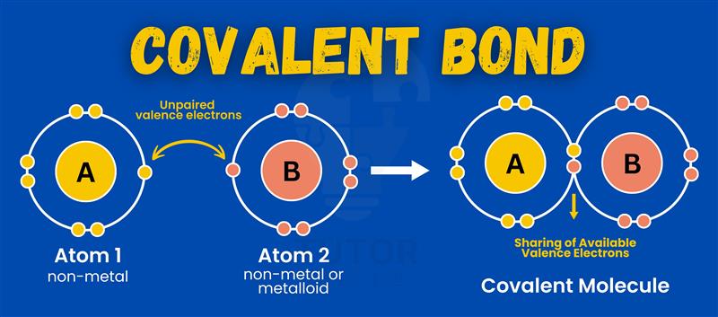 Diagram illustrating the structure of a covalent bond, highlighting its properties and various types of covalent bonds.