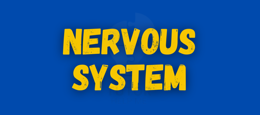 Nervous System logo set against a blue backdrop, representing creativity and the intricate connections of design.