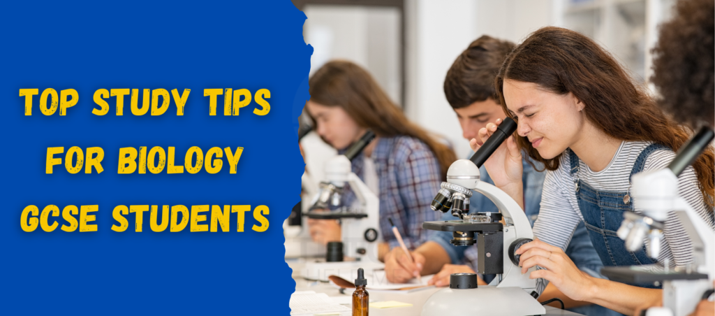 An informative graphic showcasing effective study tips for Biology GCSE students to enhance their learning.