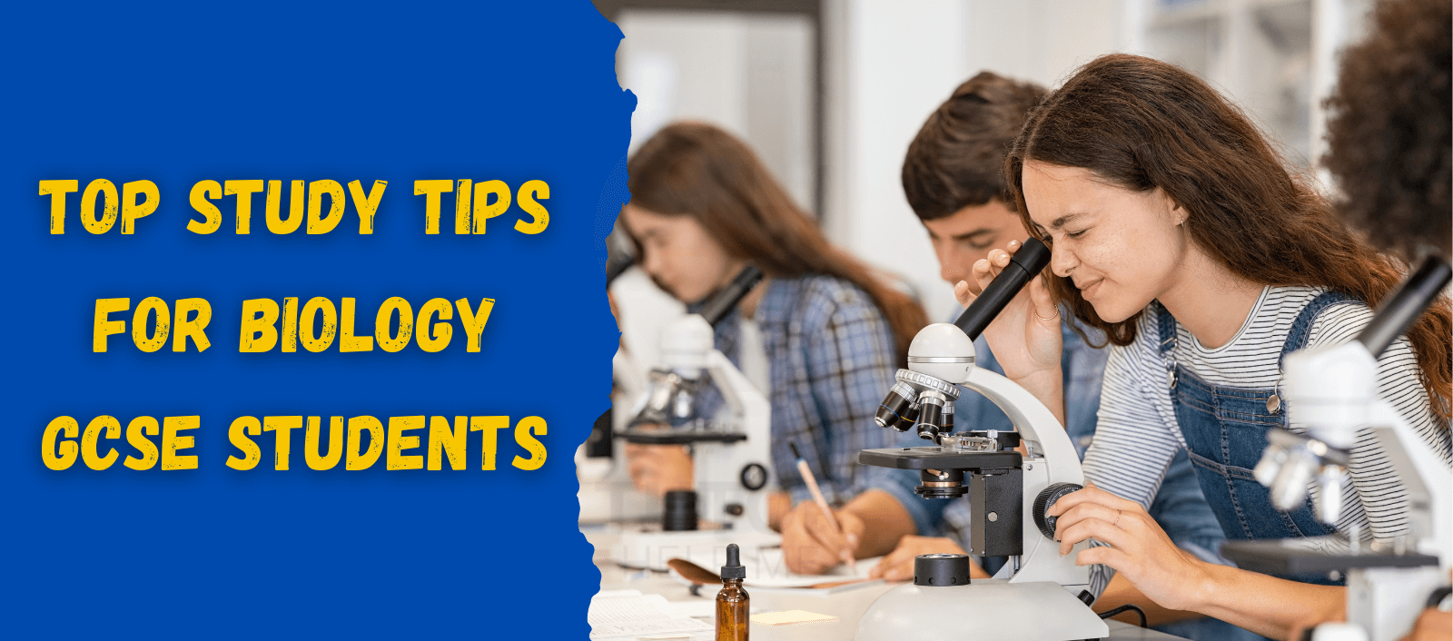 An informative graphic showcasing effective study tips for Biology GCSE students to enhance their learning.