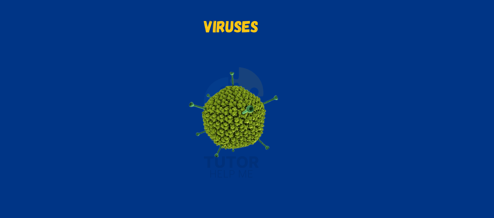A vibrant green virus illustration centered on a blue background, labeled “Viruses” in bold, yellow text above.