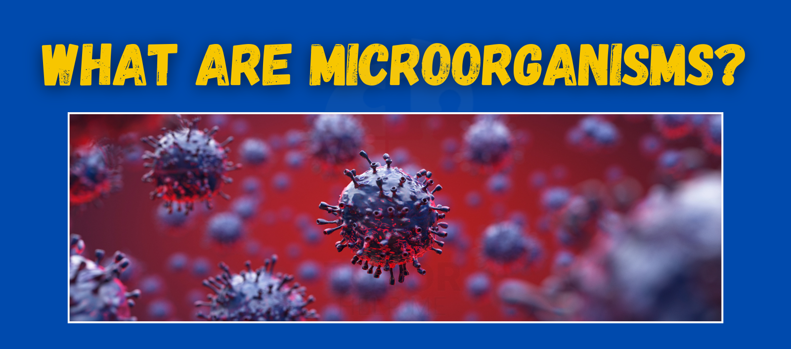 A visual representation of microorganisms, showcasing their diversity and significance in environmental and biological processes.