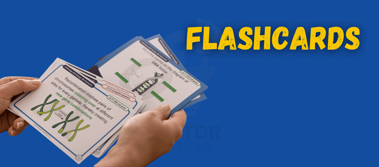  Colorful flashcards designed for children to enhance their learning experience through engaging educational activities.
