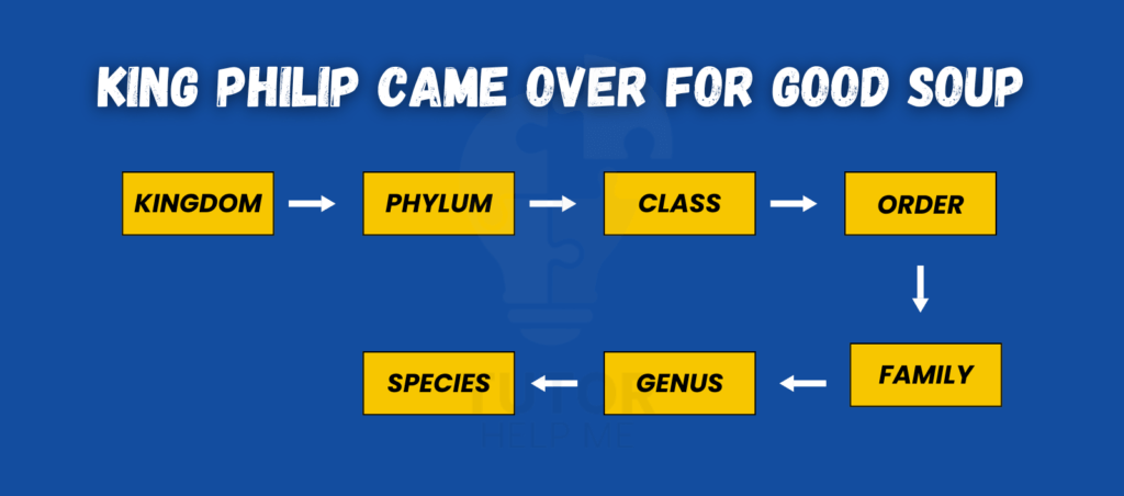 1. Diagram illustrating the mnemonic "King Philip Came Over For Good Soup" to aid in remembering taxonomic ranks.
