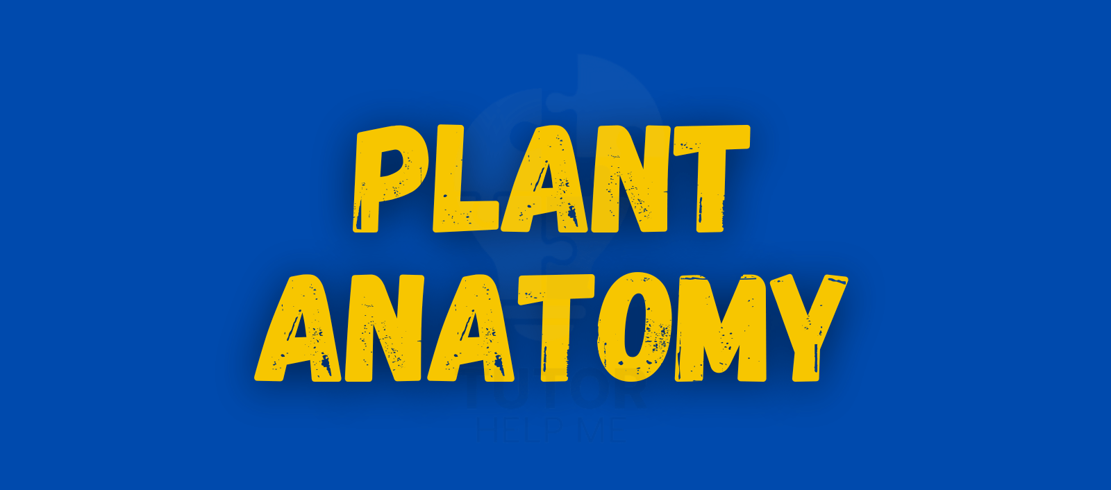 Screenshot thumbnail illustrating plant anatomy, featuring key components and their roles within the plant structure.