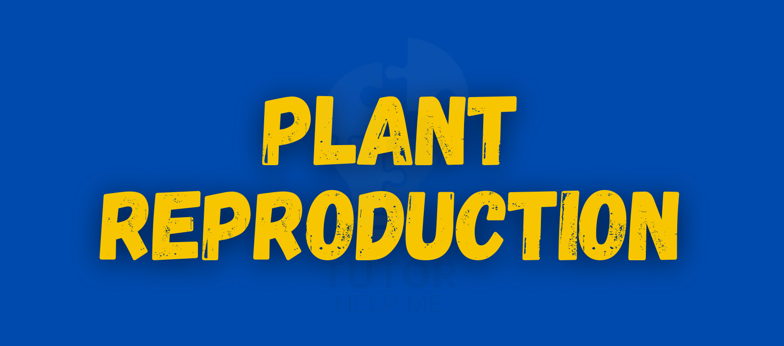 Visual representation of plant reproduction basics, showcasing key elements like flowers, seeds, and pollination.