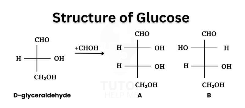 Diagram illustrating the molecular structure of glucose, highlighting its carbon, hydrogen, and oxygen atoms.