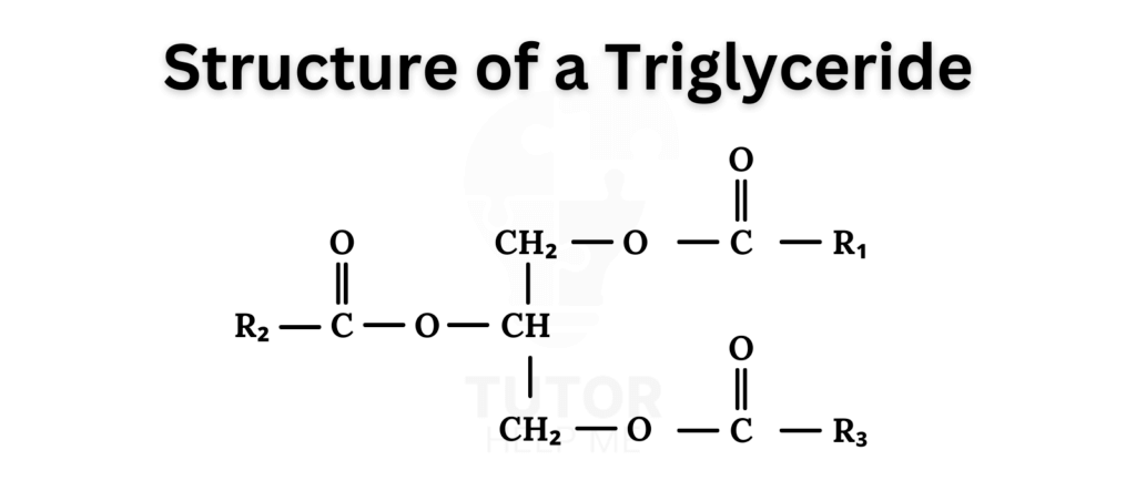 Diagram showcasing the structural arrangement of a tricyclic compound, emphasizing its interconnected ring system.
