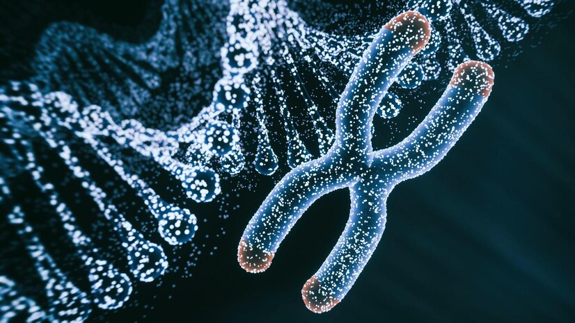 A digital illustration of a chromosome surrounded by a double helix, depicting genetic material and DNA structure.