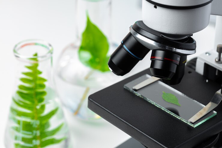 Close-up of a microscope examining a leaf on a slide, with beakers containing green leaves in the background.