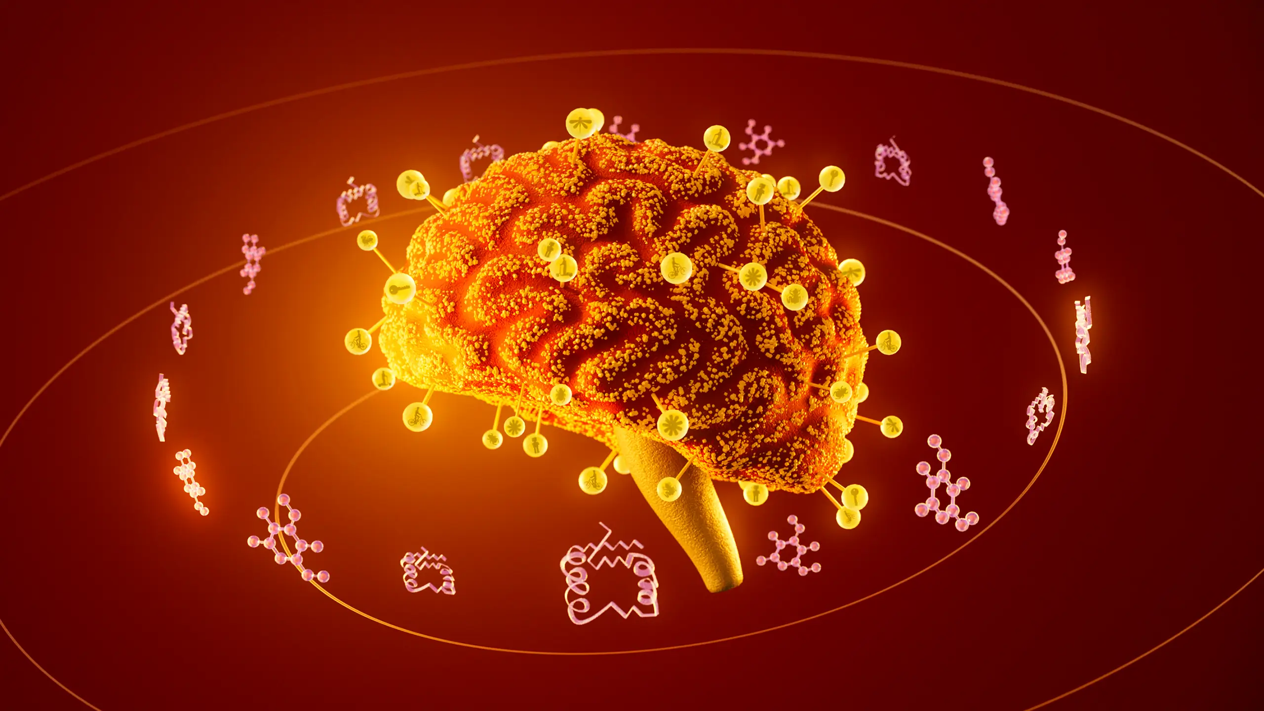 A vibrant, 3D illustration of a brain surrounded by colorful molecular structures on a red background, symbolizing neuroscience and molecular biology.