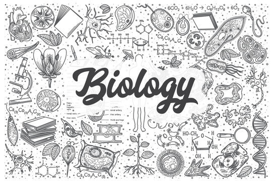 A pattern of biology-themed illustrations, including cells, plants, DNA, and lab equipment, with "Biology" prominently displayed.
