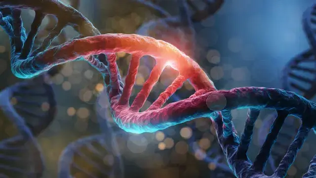 A close-up of a colorful DNA double helix with glowing strands, set against a blurred background of soft colors and light.