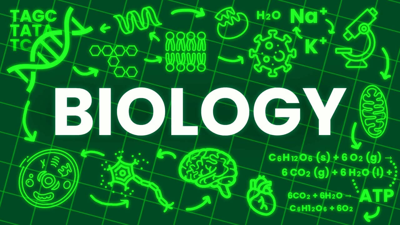 A vibrant illustration of biology concepts, featuring DNA, cells, water, and energy equations on a green grid background.