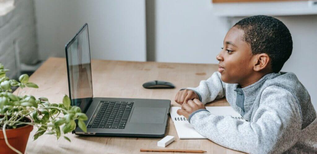 A child sits at a wooden desk, focused on a laptop screen, with a notebook and a plant nearby, engaged in online learning.