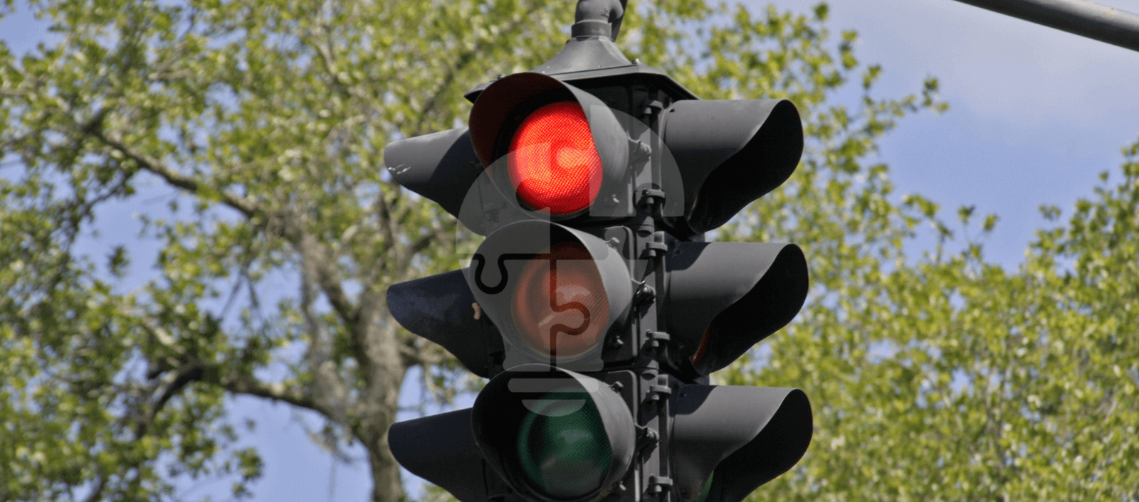 A traffic light shows a red signal, set against a backdrop of green tree leaves and a clear blue sky, conveying a sense of calm and stillness.