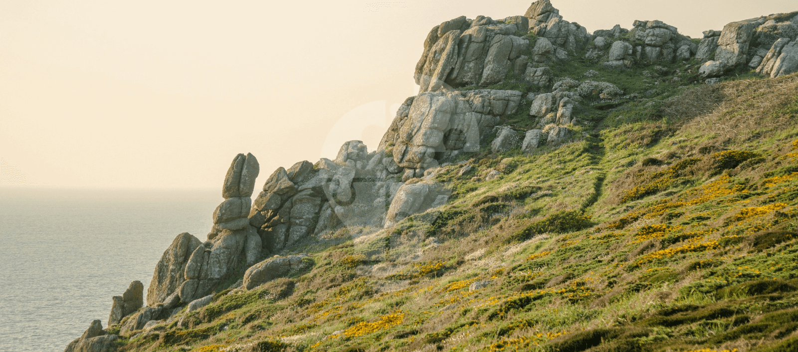 A rocky cliff adorned with colorful flowers, showcasing a blend of natural textures and vibrant colors.