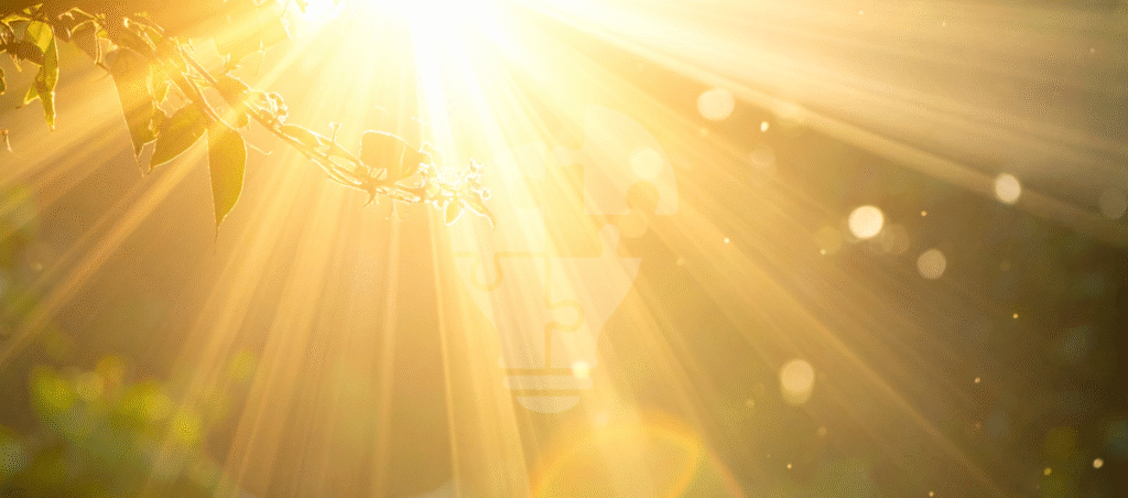 Sunlight filters through green leaves, creating a warm, golden glow with rays illuminating the scene and soft bokeh effects.