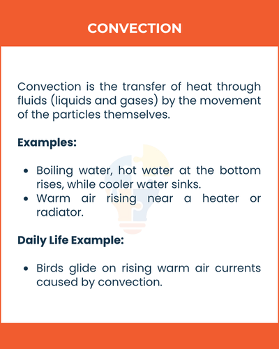 Heat transfer via fluid movement. Examples: Boiling water, warm air near heaters. Daily life: Birds glide on rising warm air.